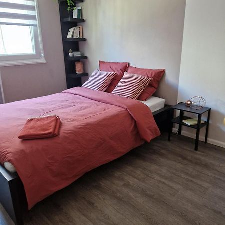 Robertsau Tres Bel Appartement 斯特拉斯堡 外观 照片