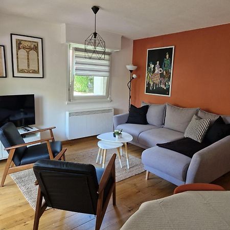 Robertsau Tres Bel Appartement 斯特拉斯堡 外观 照片