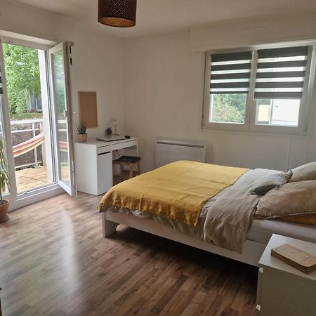 Robertsau Tres Bel Appartement 斯特拉斯堡 外观 照片