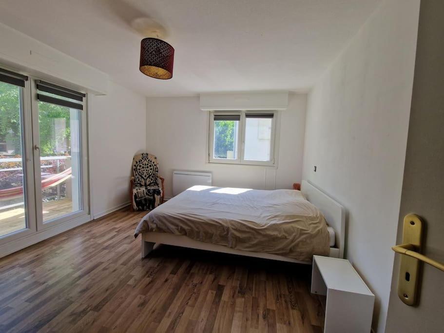 Robertsau Tres Bel Appartement 斯特拉斯堡 外观 照片