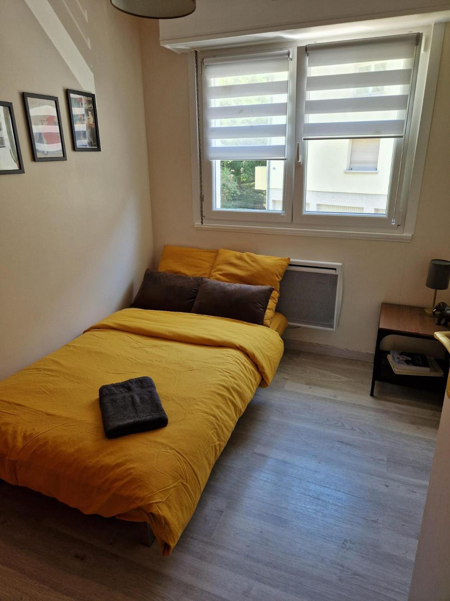 Robertsau Tres Bel Appartement 斯特拉斯堡 外观 照片